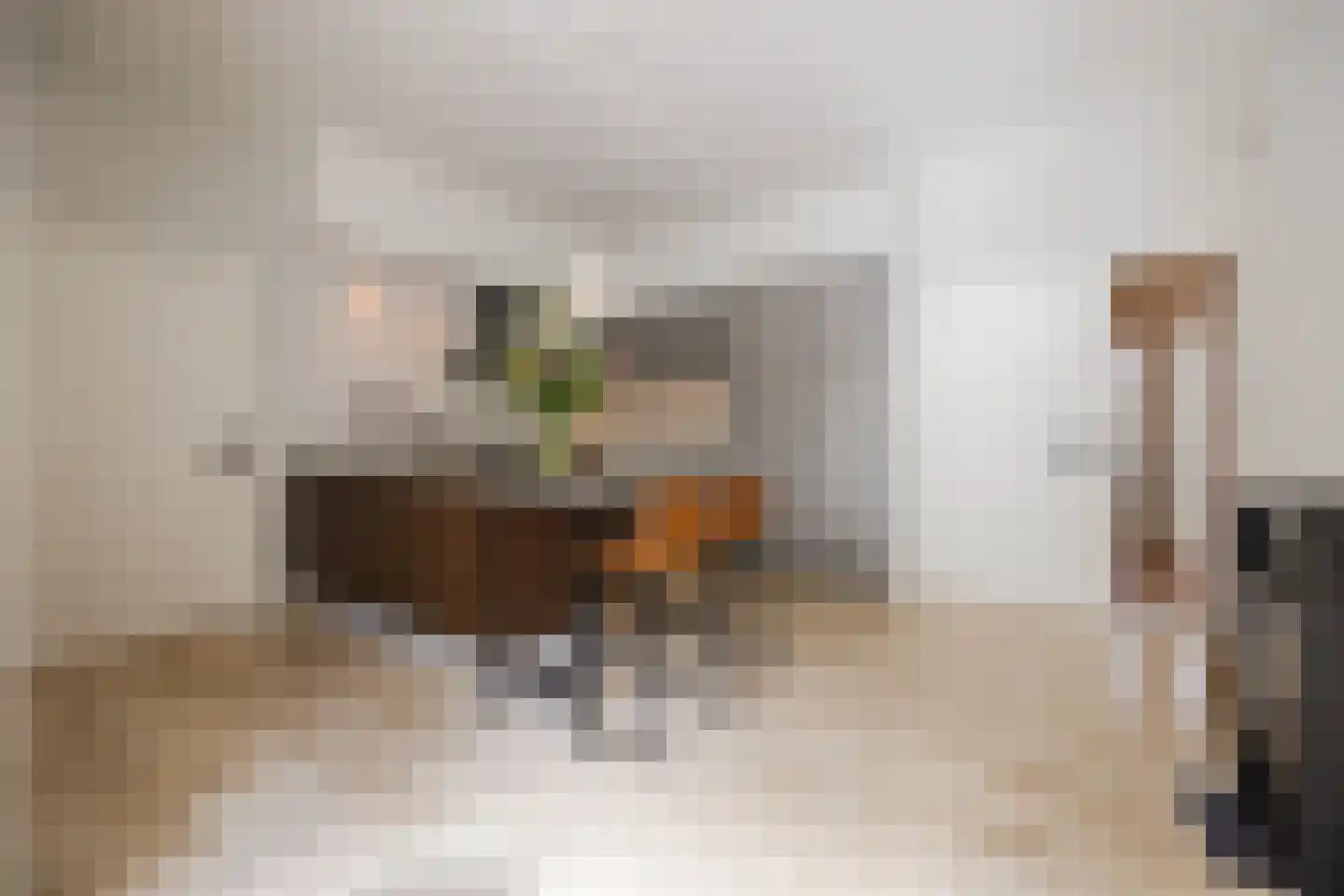 Zilvervlek 23 Breda thumbnail 20