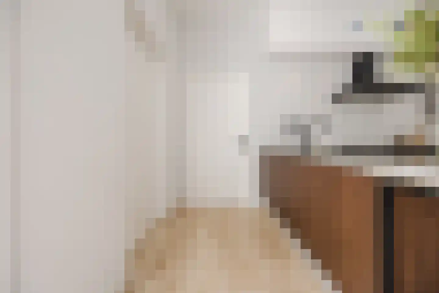 Zilvervlek 23 Breda thumbnail 24