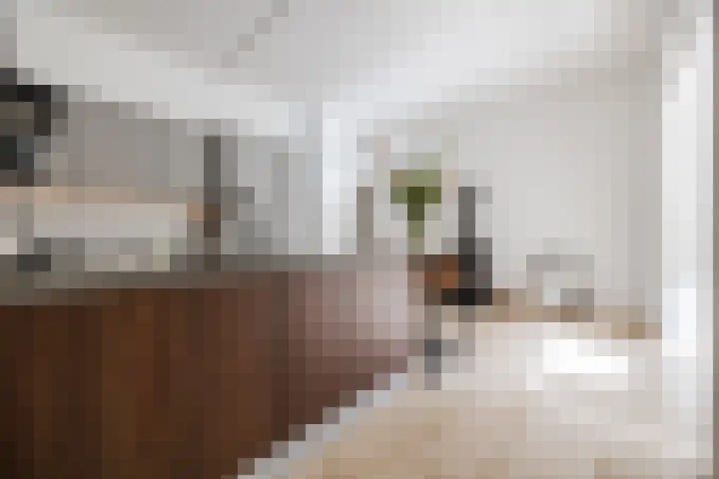 Zilvervlek 23 Breda thumbnail 25