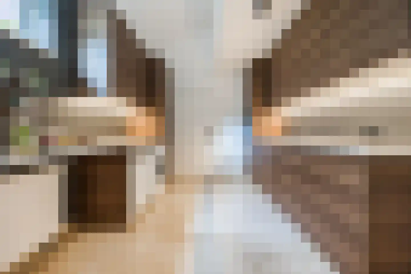 Zilvervlek 23 Breda thumbnail 26
