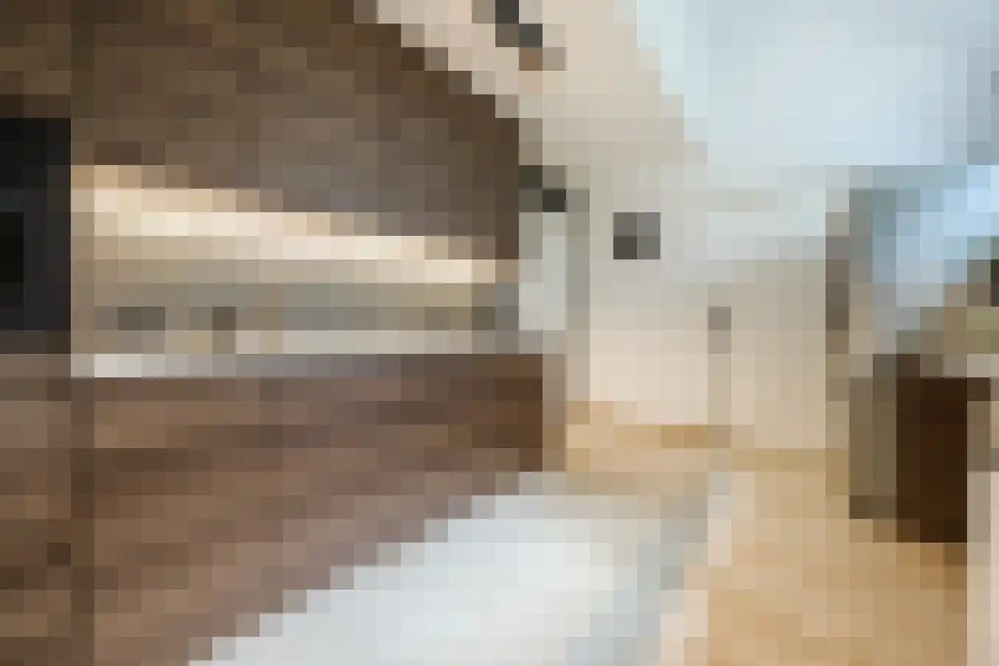 Zilvervlek 23 Breda thumbnail 27