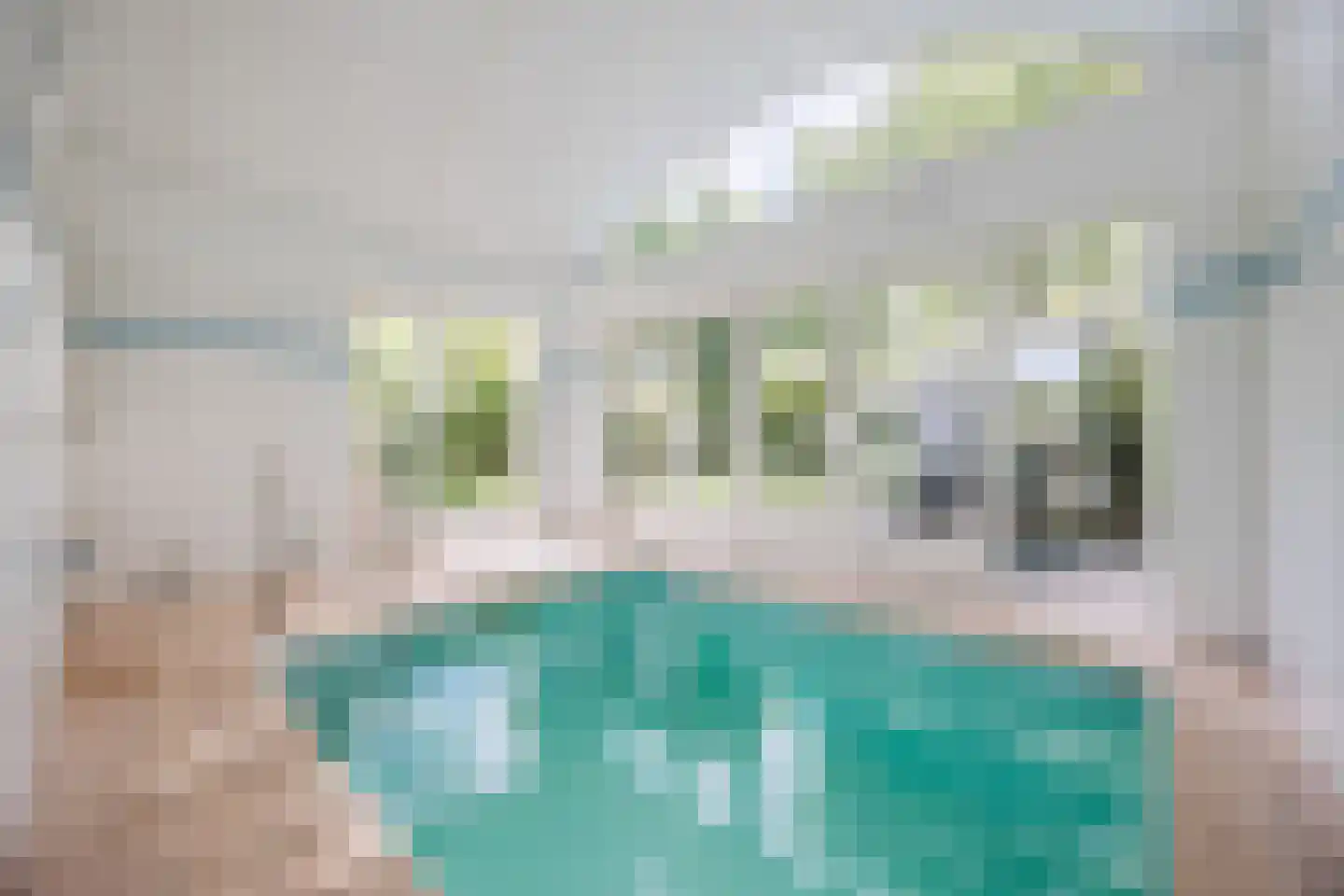 Zilvervlek 23 Breda thumbnail 32