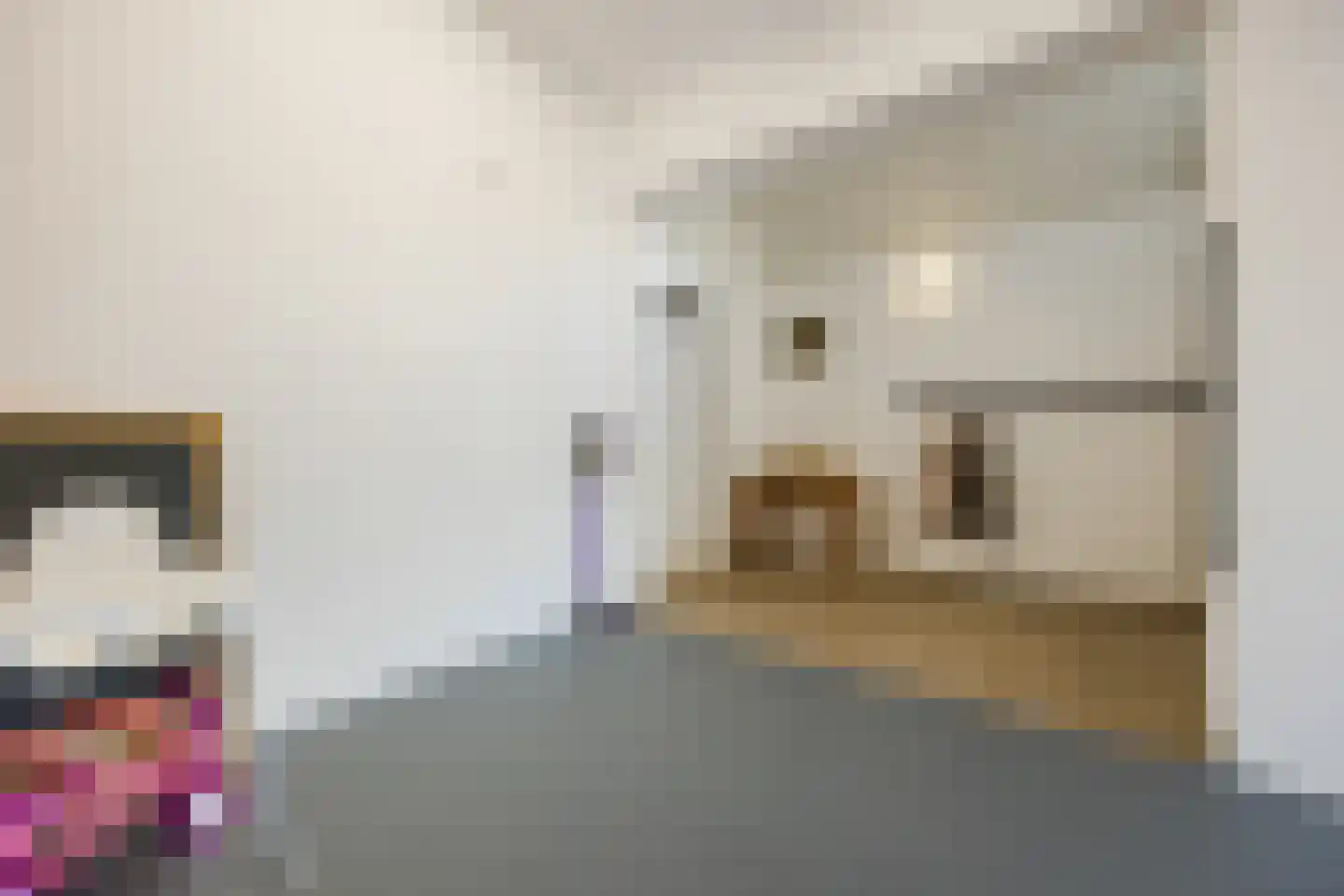 Zilvervlek 23 Breda thumbnail 39