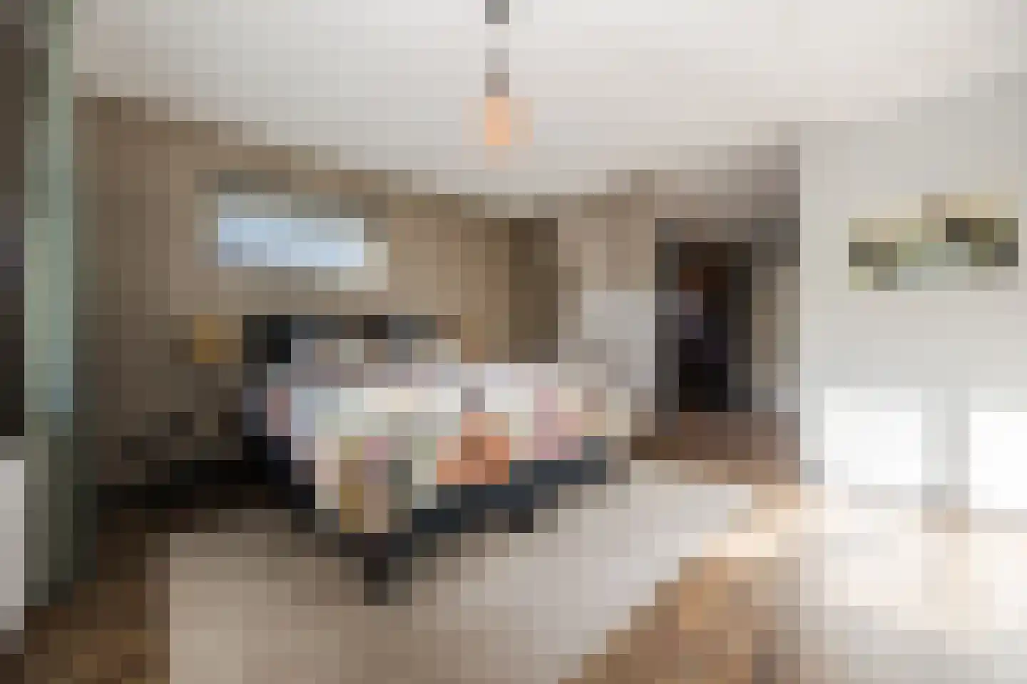 Zilvervlek 23 Breda thumbnail 45