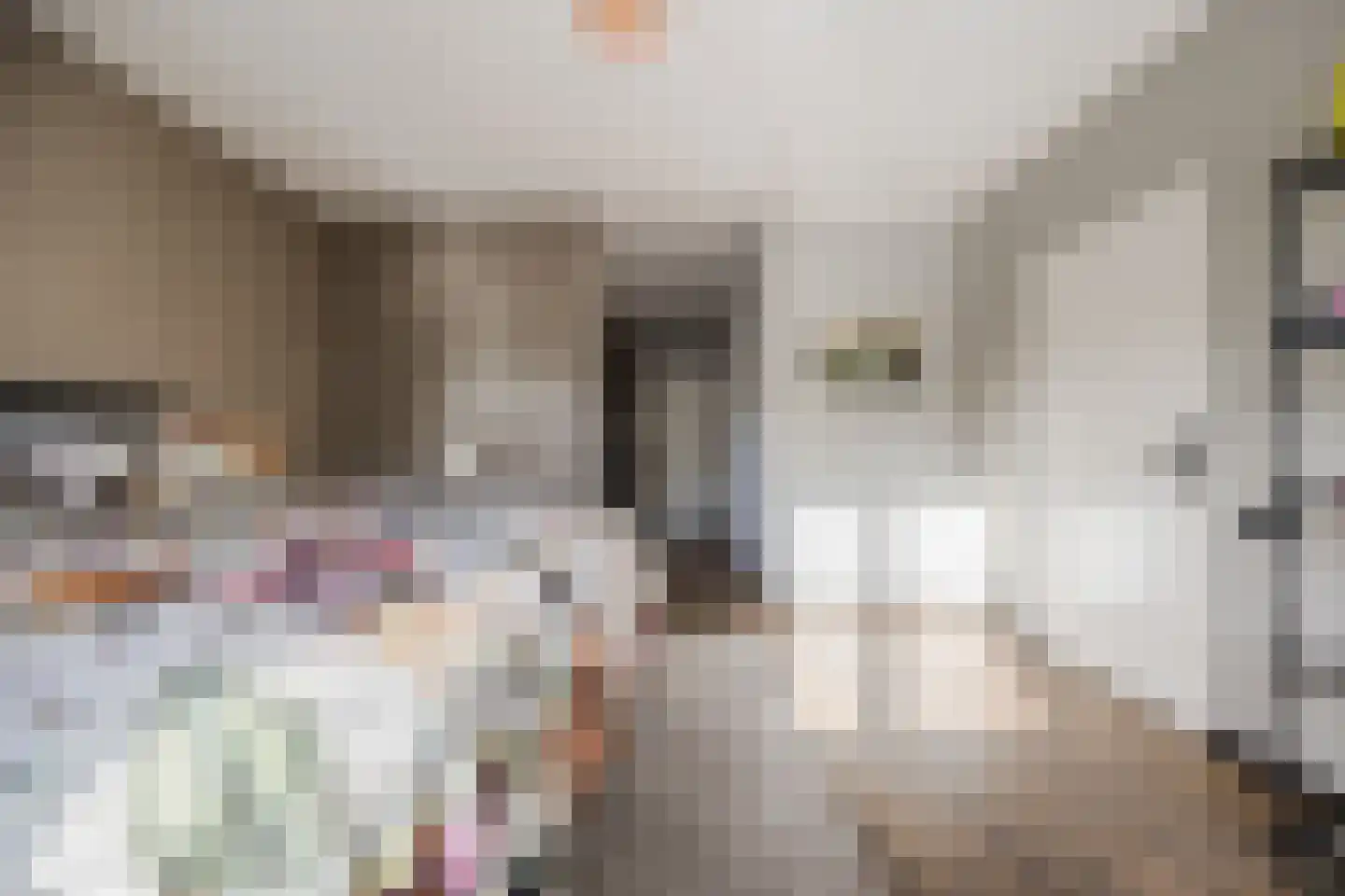 Zilvervlek 23 Breda thumbnail 46