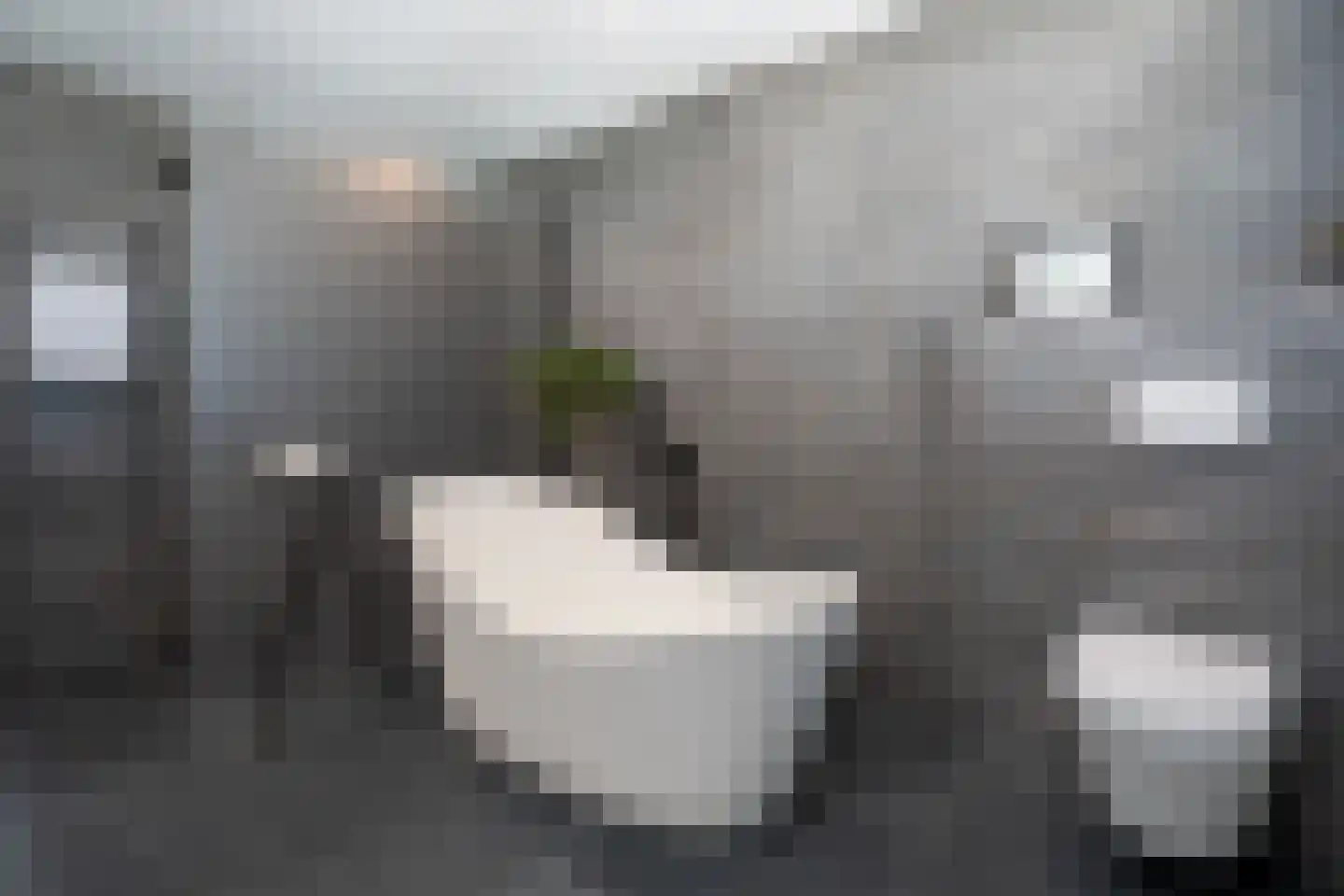 Zilvervlek 23 Breda thumbnail 49