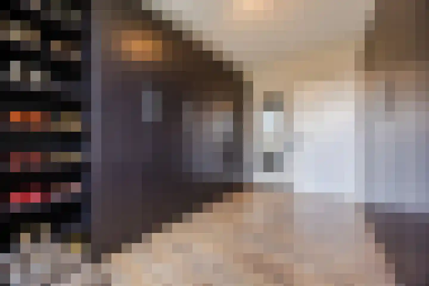 Zilvervlek 23 Breda thumbnail 55