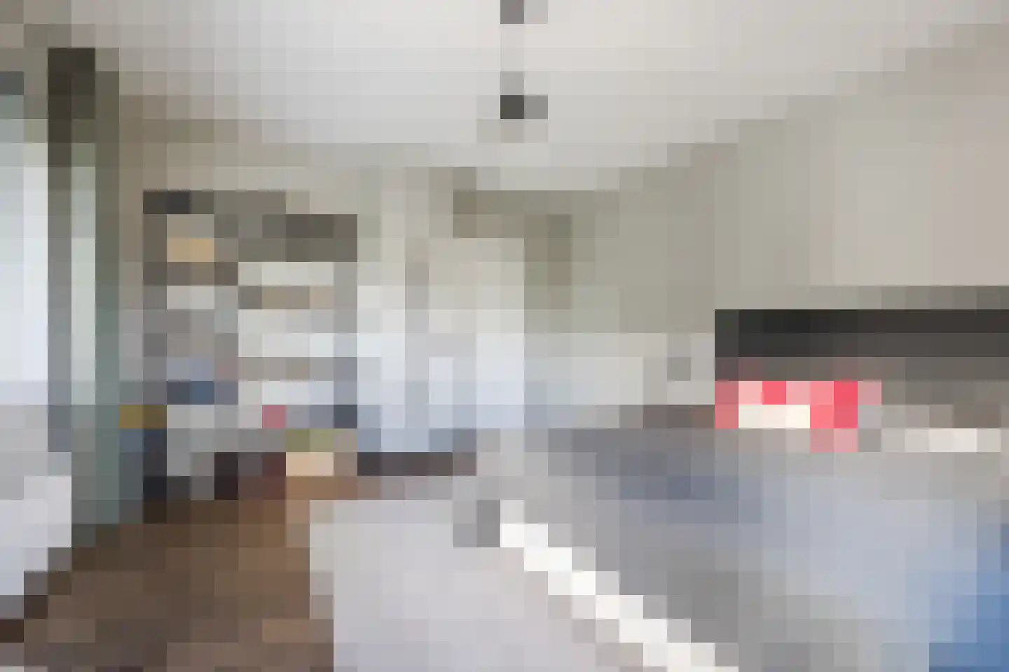 Zilvervlek 23 Breda thumbnail 57