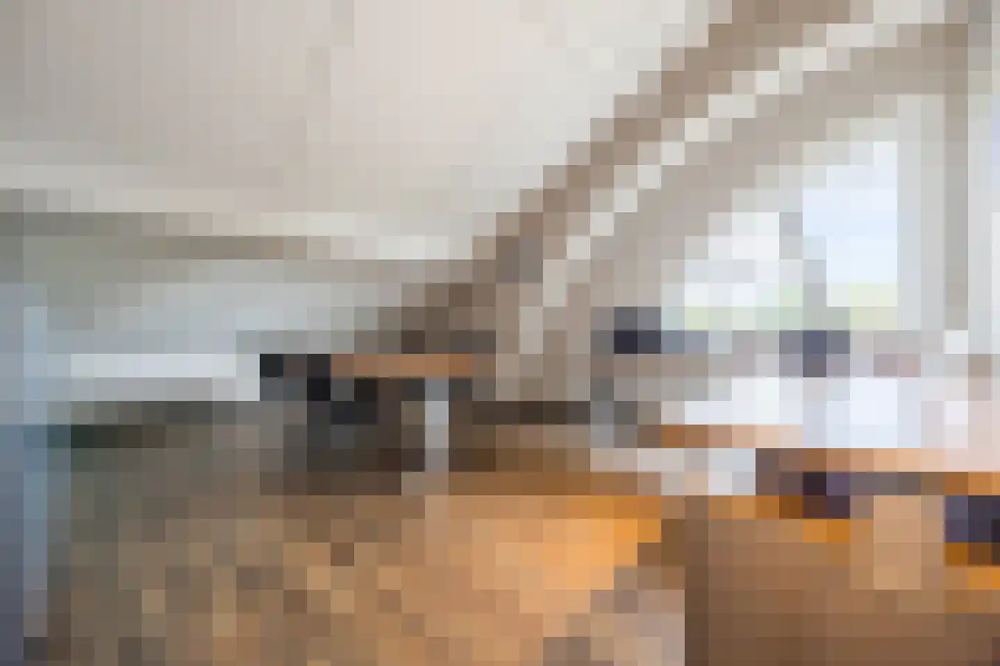Zilvervlek 23 Breda thumbnail 64