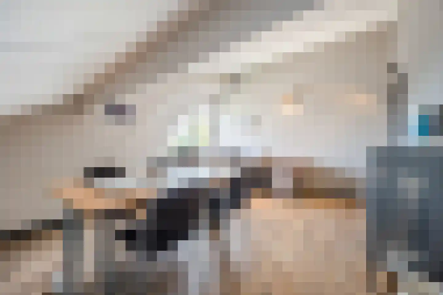 Zilvervlek 23 Breda thumbnail 65