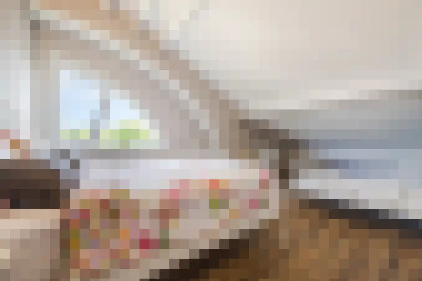 Zilvervlek 23 Breda thumbnail 66