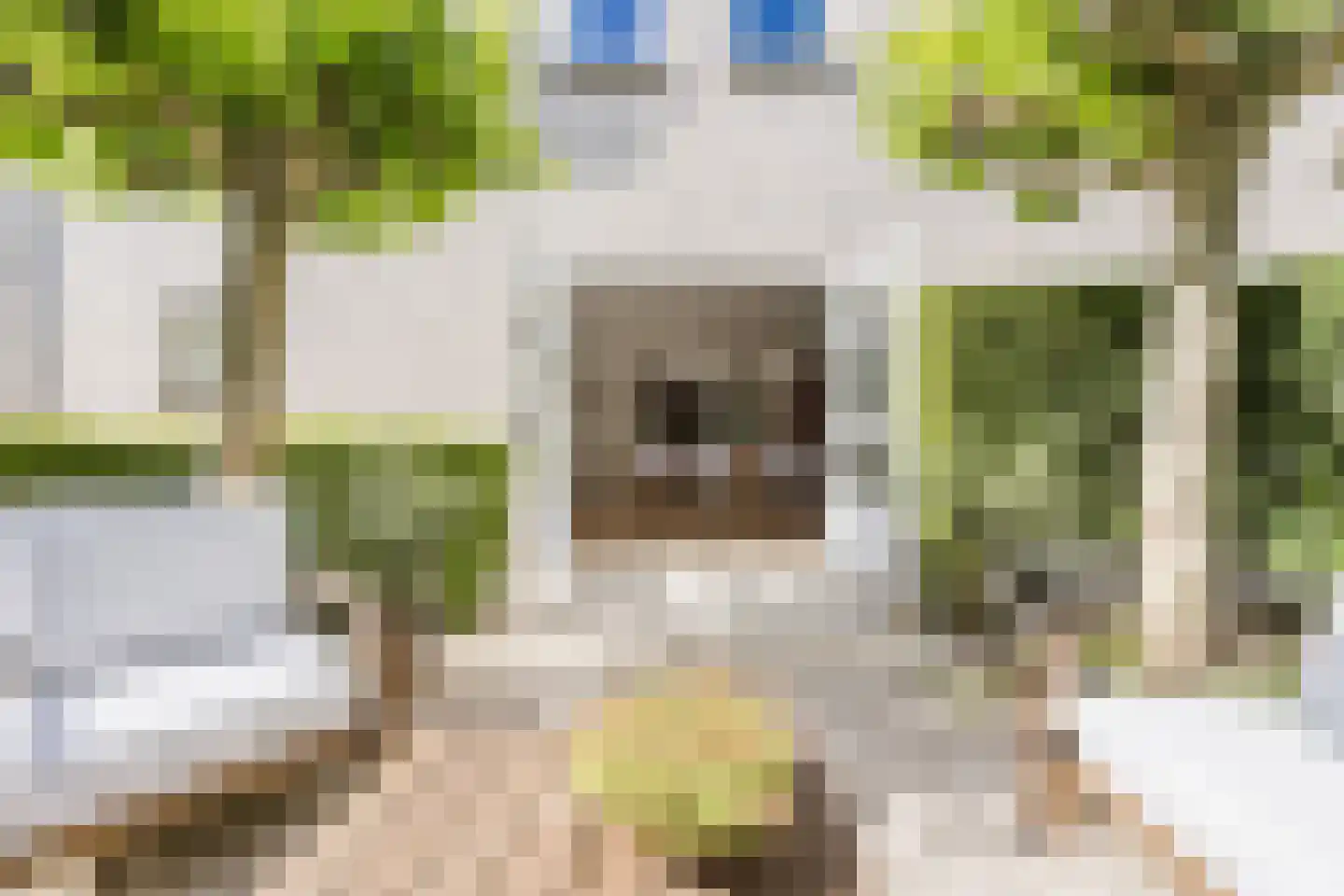 Zilvervlek 23 Breda thumbnail 73