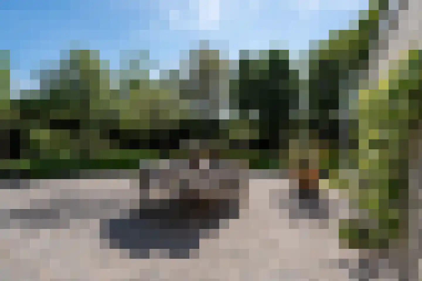 Zilvervlek 23 Breda thumbnail 75