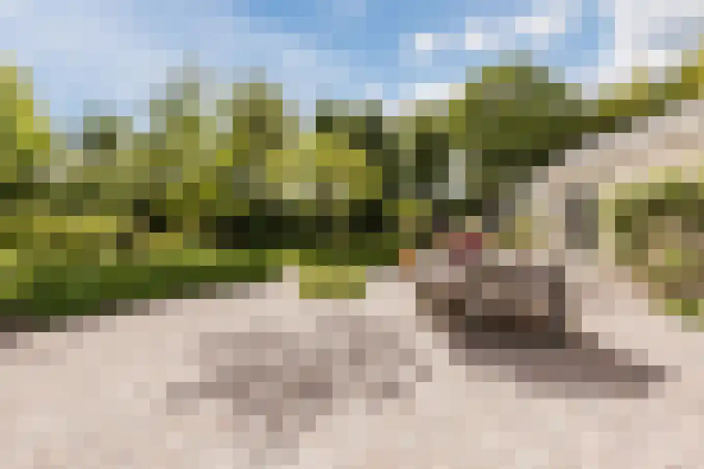Zilvervlek 23 Breda thumbnail 77