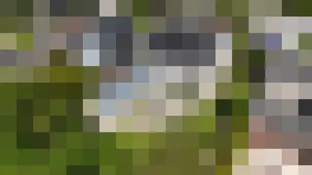 Zilvervlek 23 Breda thumbnail 82