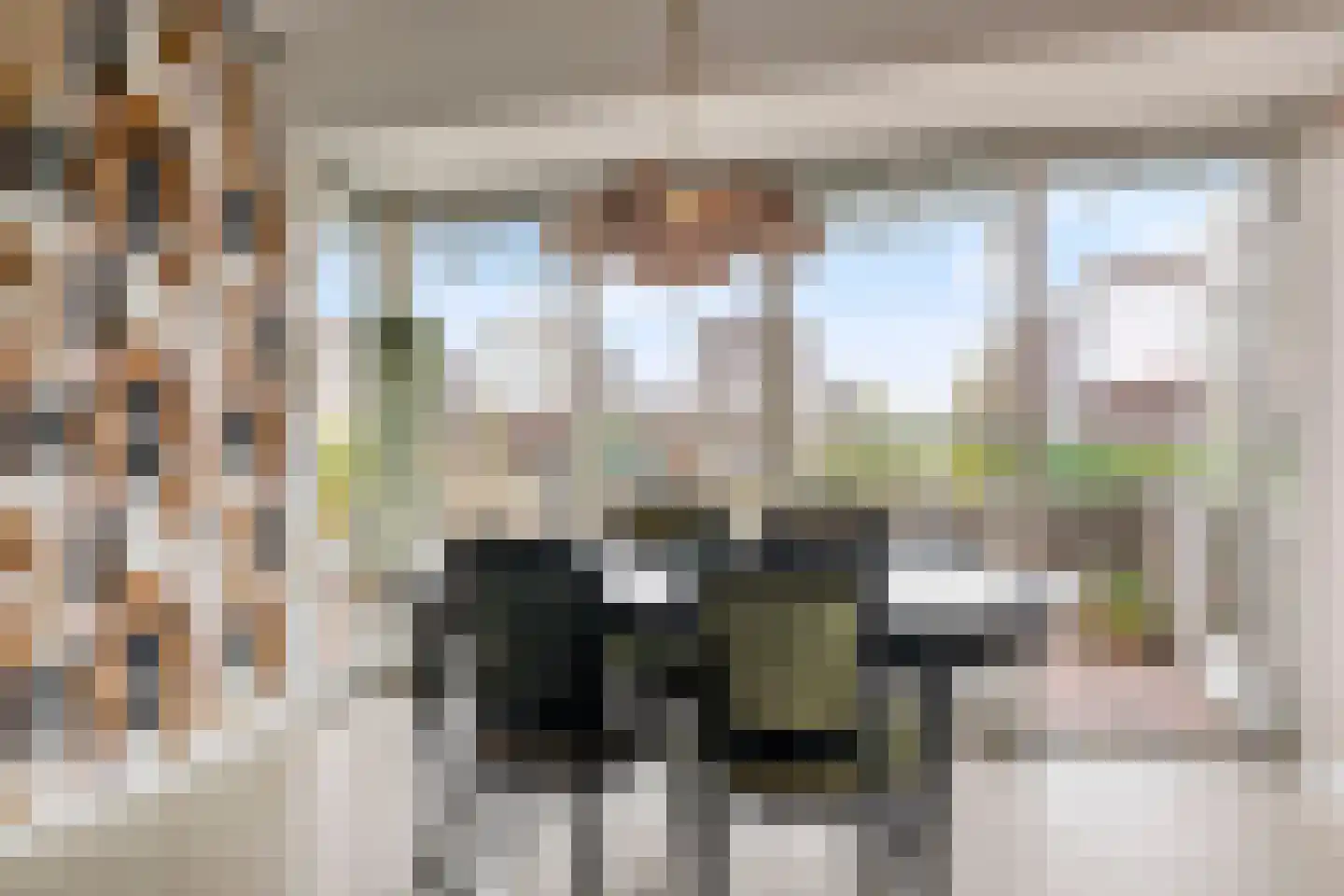 Zilvervlekpad 6 Rosmalen thumbnail 11