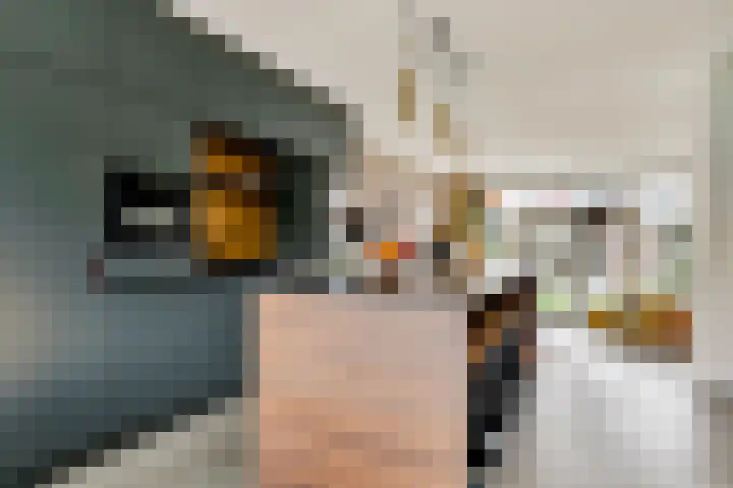 Zilvervlekpad 6 Rosmalen thumbnail 12