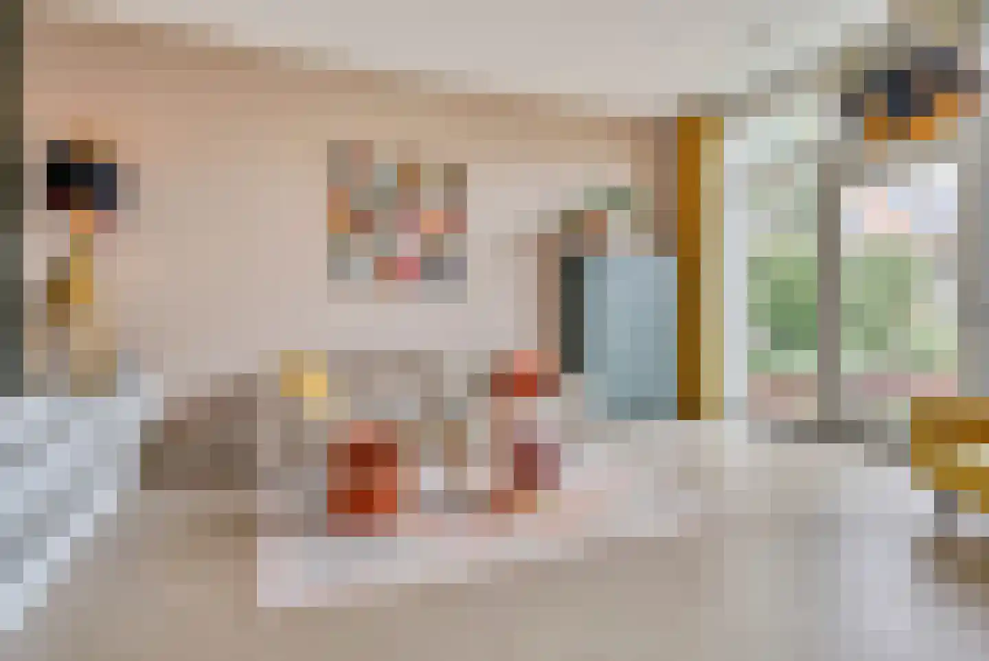 Zilvervlekpad 6 Rosmalen thumbnail 14