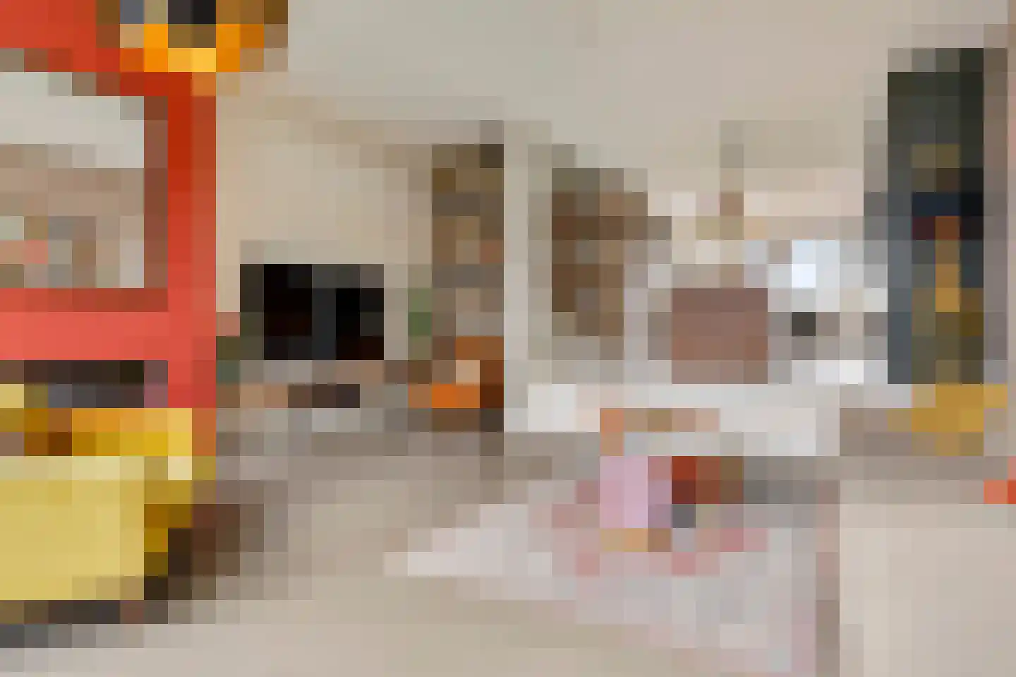 Zilvervlekpad 6 Rosmalen thumbnail 15