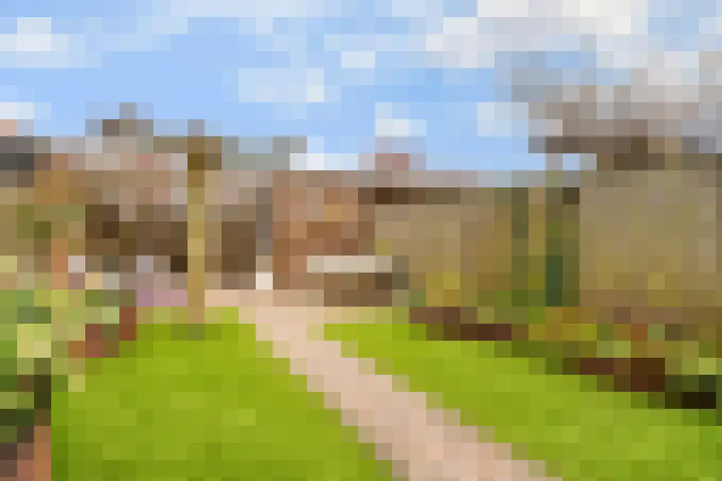 Zilvervlekpad 6 Rosmalen thumbnail 19