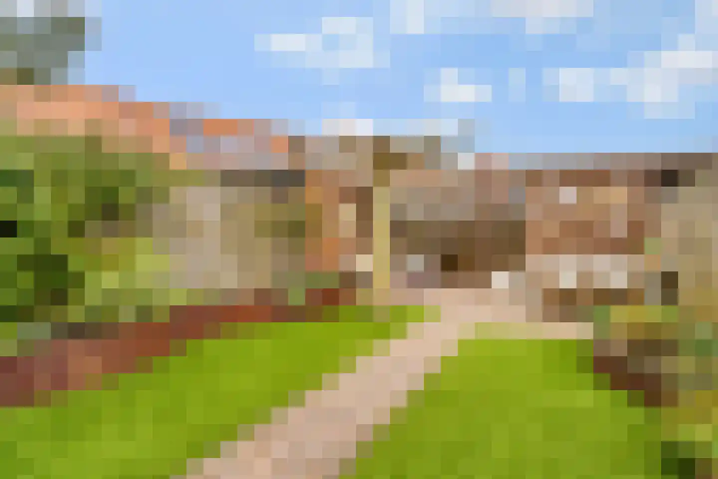 Zilvervlekpad 6 Rosmalen thumbnail 20