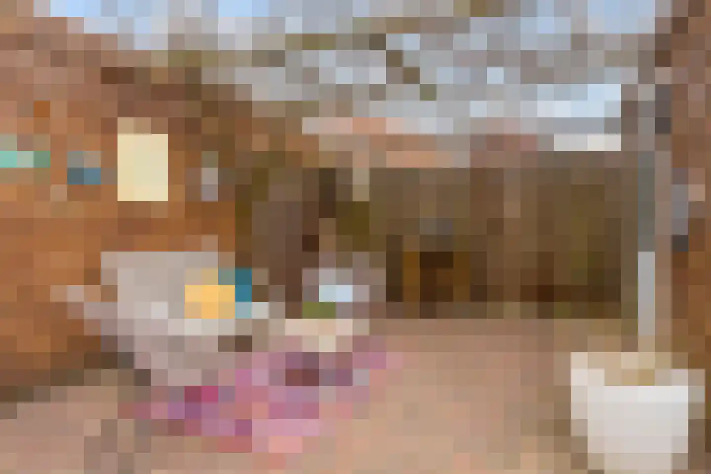 Zilvervlekpad 6 Rosmalen thumbnail 21