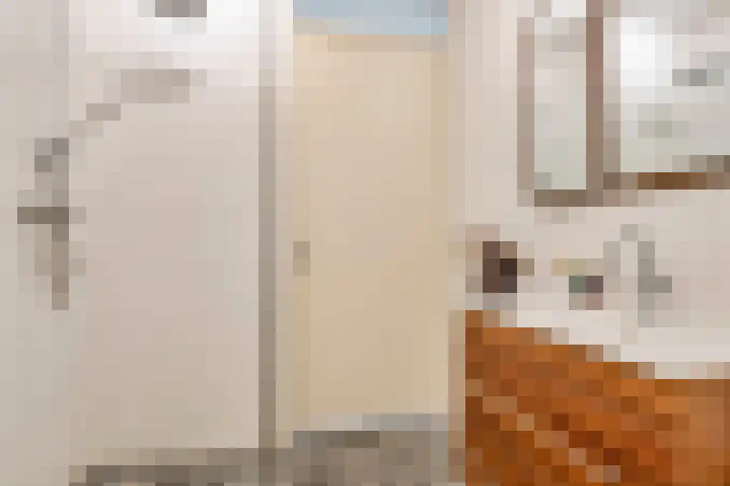Zilvervlekpad 6 Rosmalen thumbnail 36
