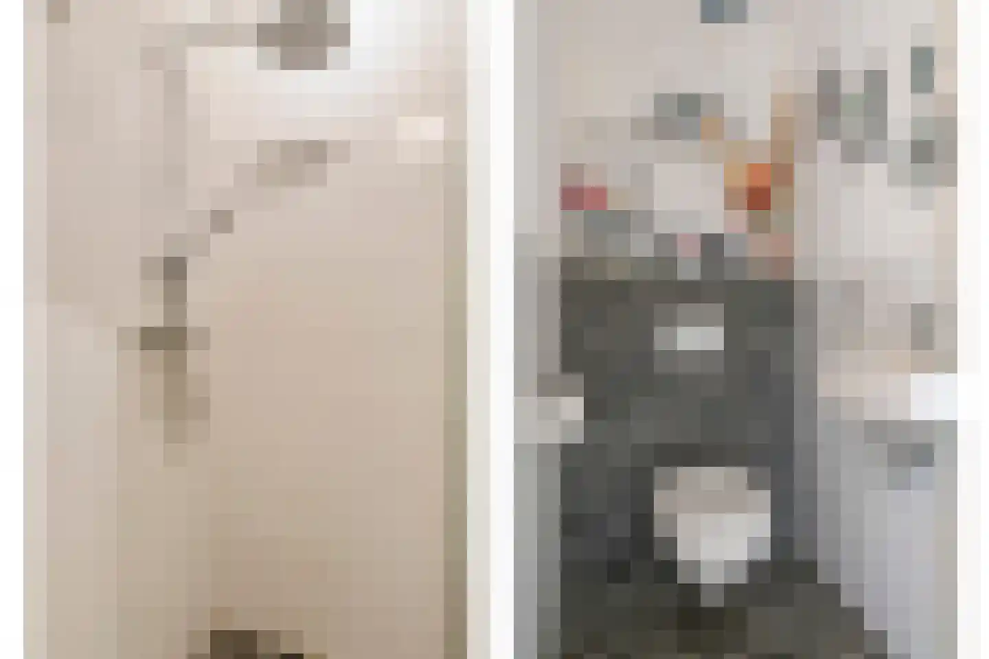 Zilvervlekpad 6 Rosmalen thumbnail 37