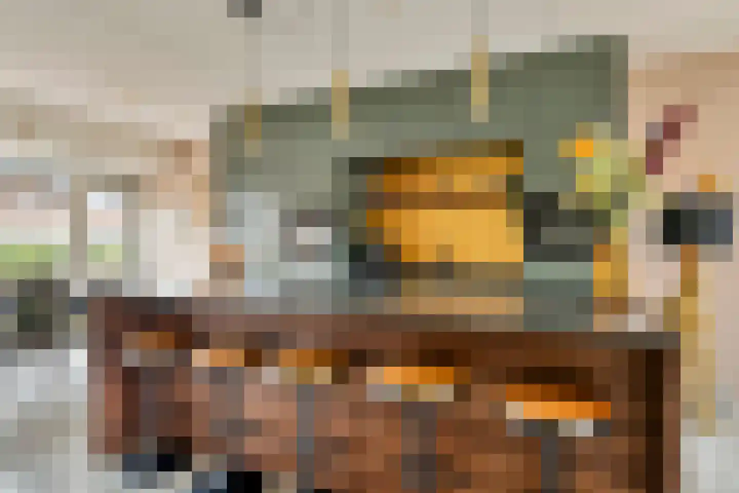 Zilvervlekpad 6 Rosmalen thumbnail 4
