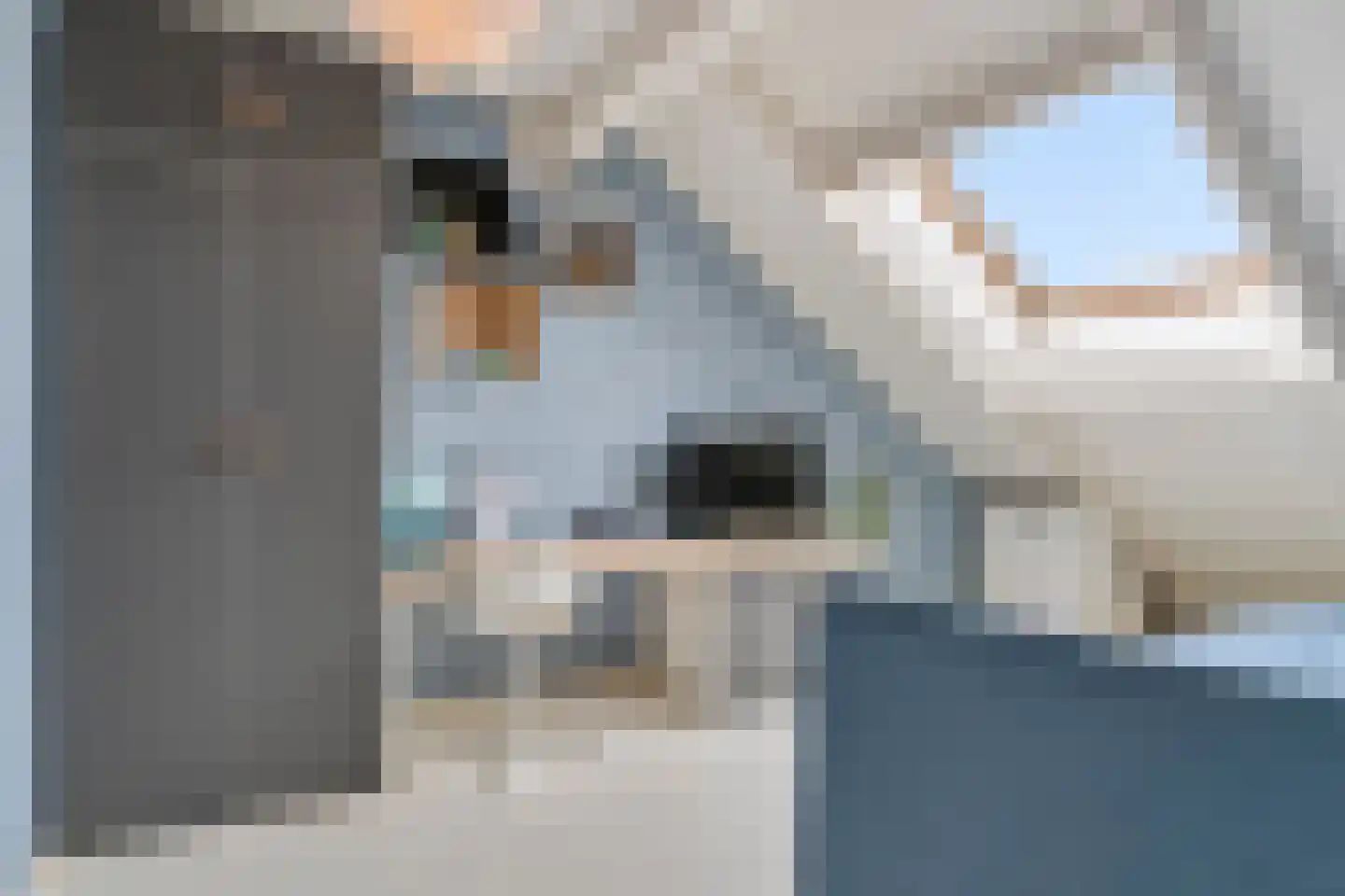 Zilvervlekpad 6 Rosmalen thumbnail 42