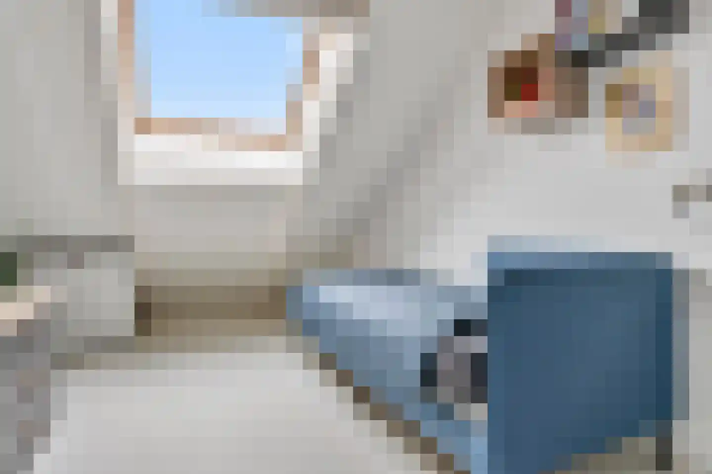 Zilvervlekpad 6 Rosmalen thumbnail 43