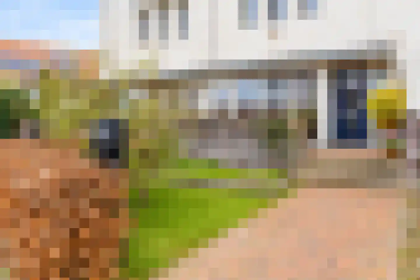 Zilvervlekpad 6 Rosmalen thumbnail 47