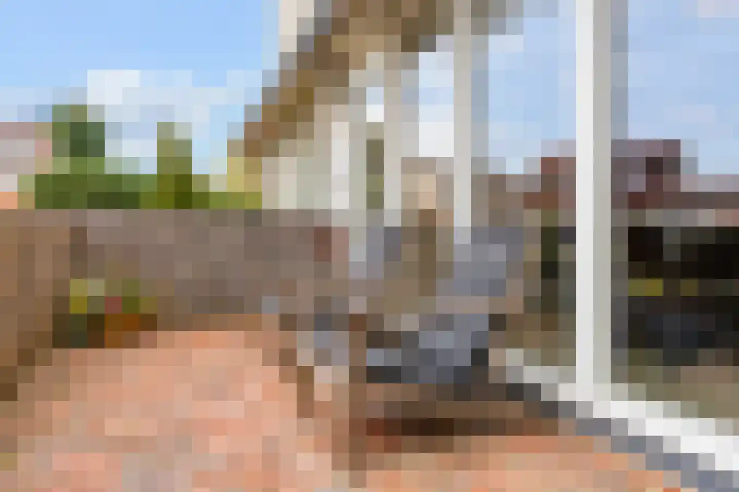Zilvervlekpad 6 Rosmalen thumbnail 48