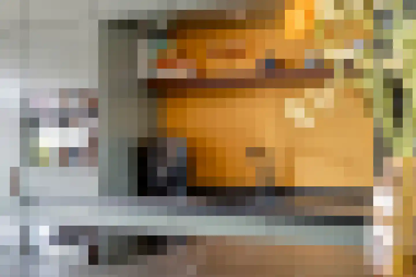 Zilvervlekpad 6 Rosmalen thumbnail 5