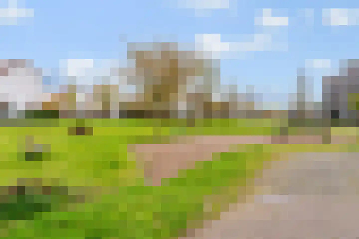 Zilvervlekpad 6 Rosmalen thumbnail 52