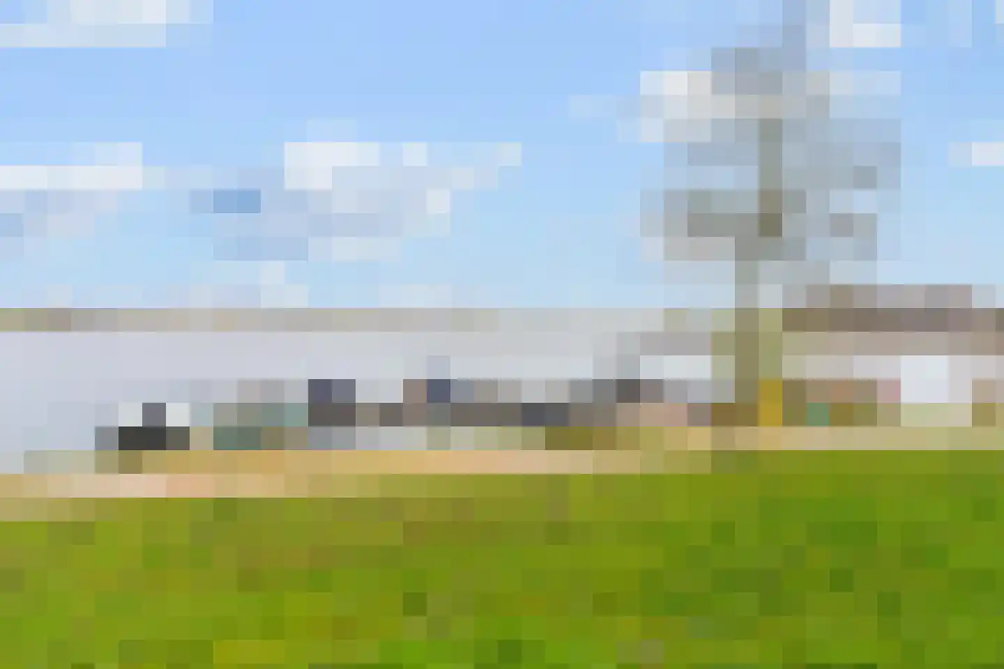 Zilvervlekpad 6 Rosmalen thumbnail 55