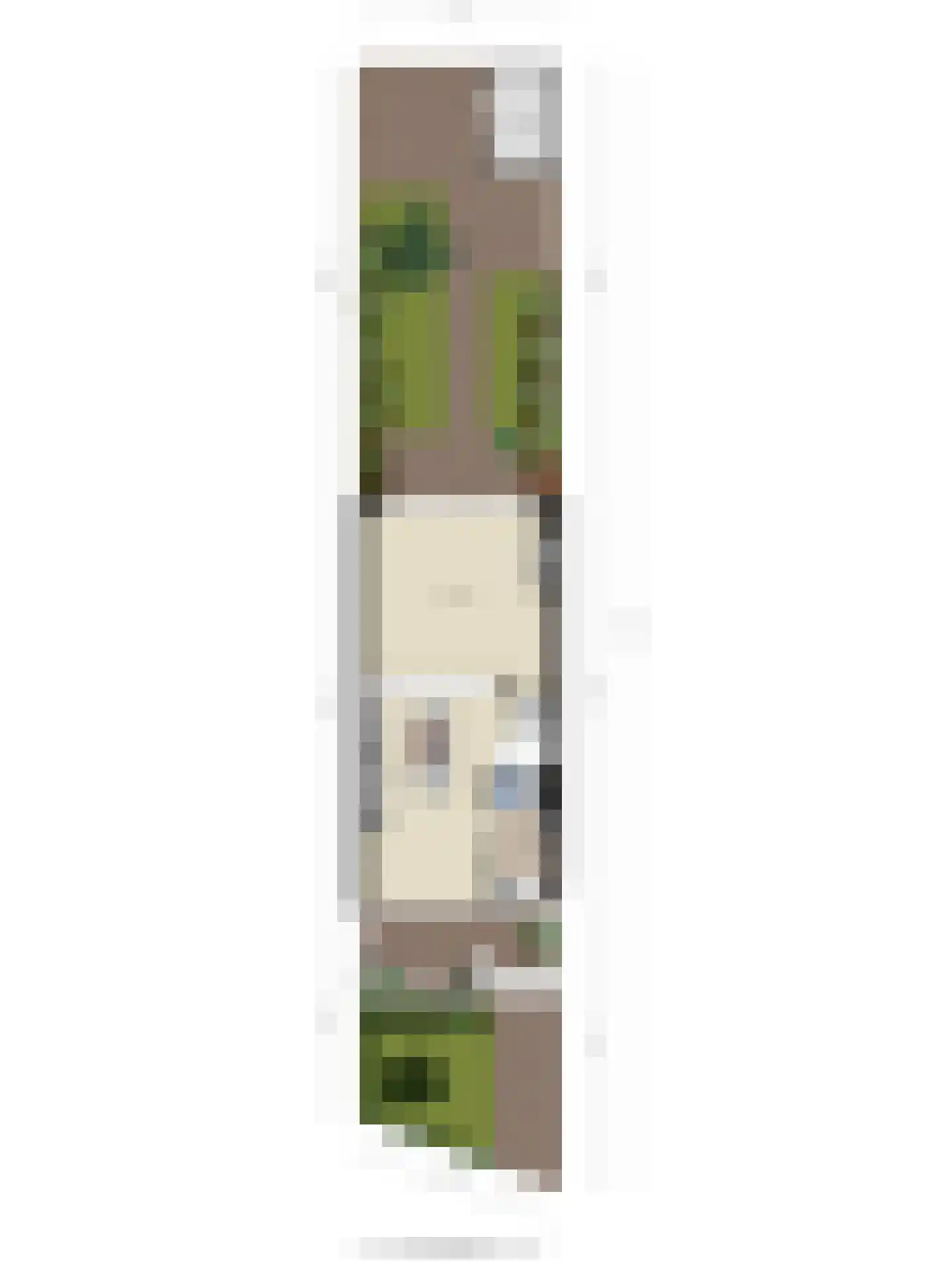 Zilvervlekpad 6 Rosmalen thumbnail 57