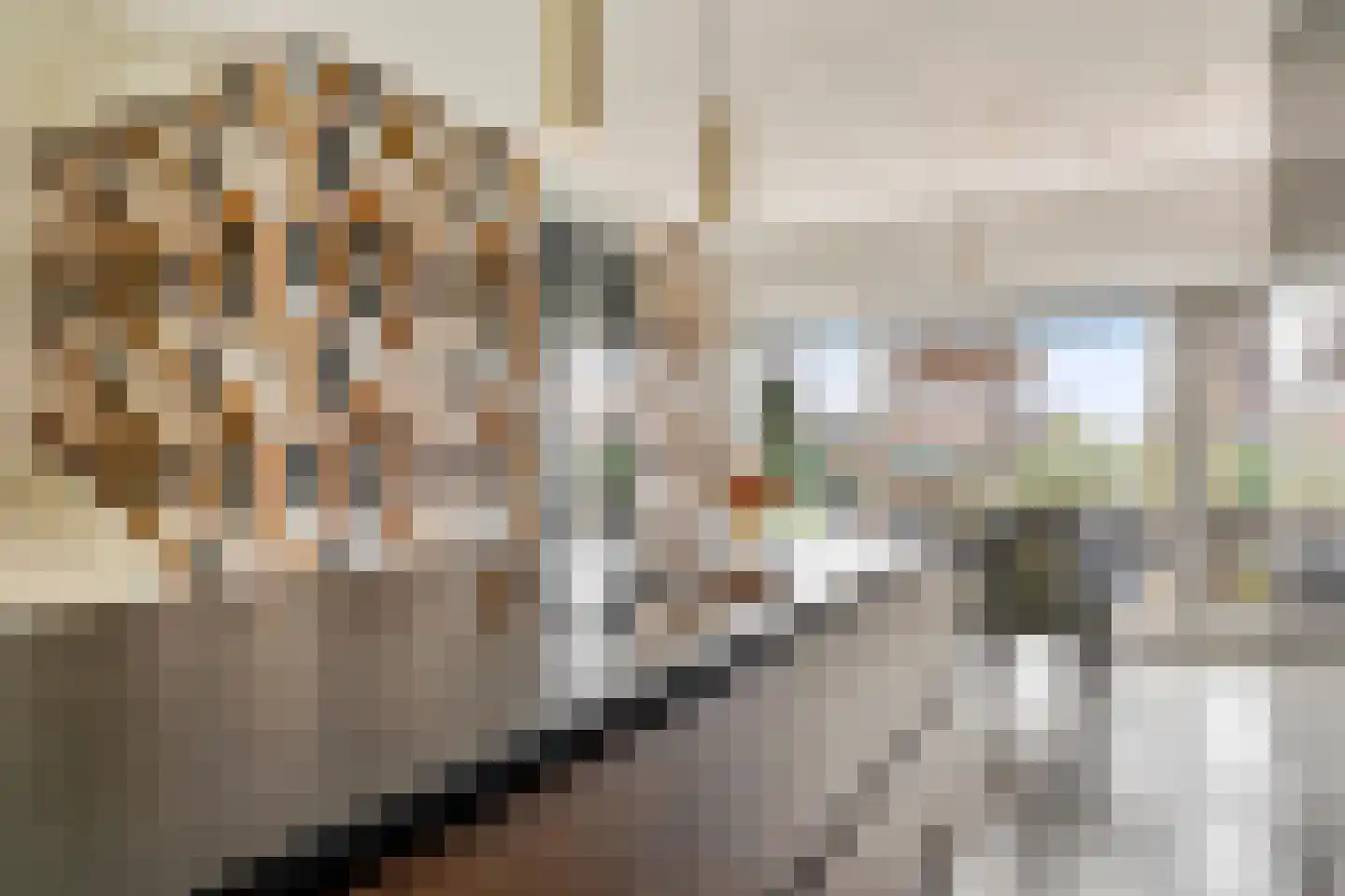 Zilvervlekpad 6 Rosmalen thumbnail 7
