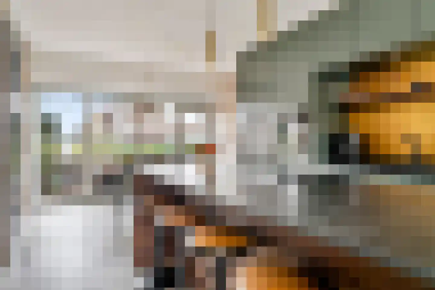 Zilvervlekpad 6 Rosmalen thumbnail 8