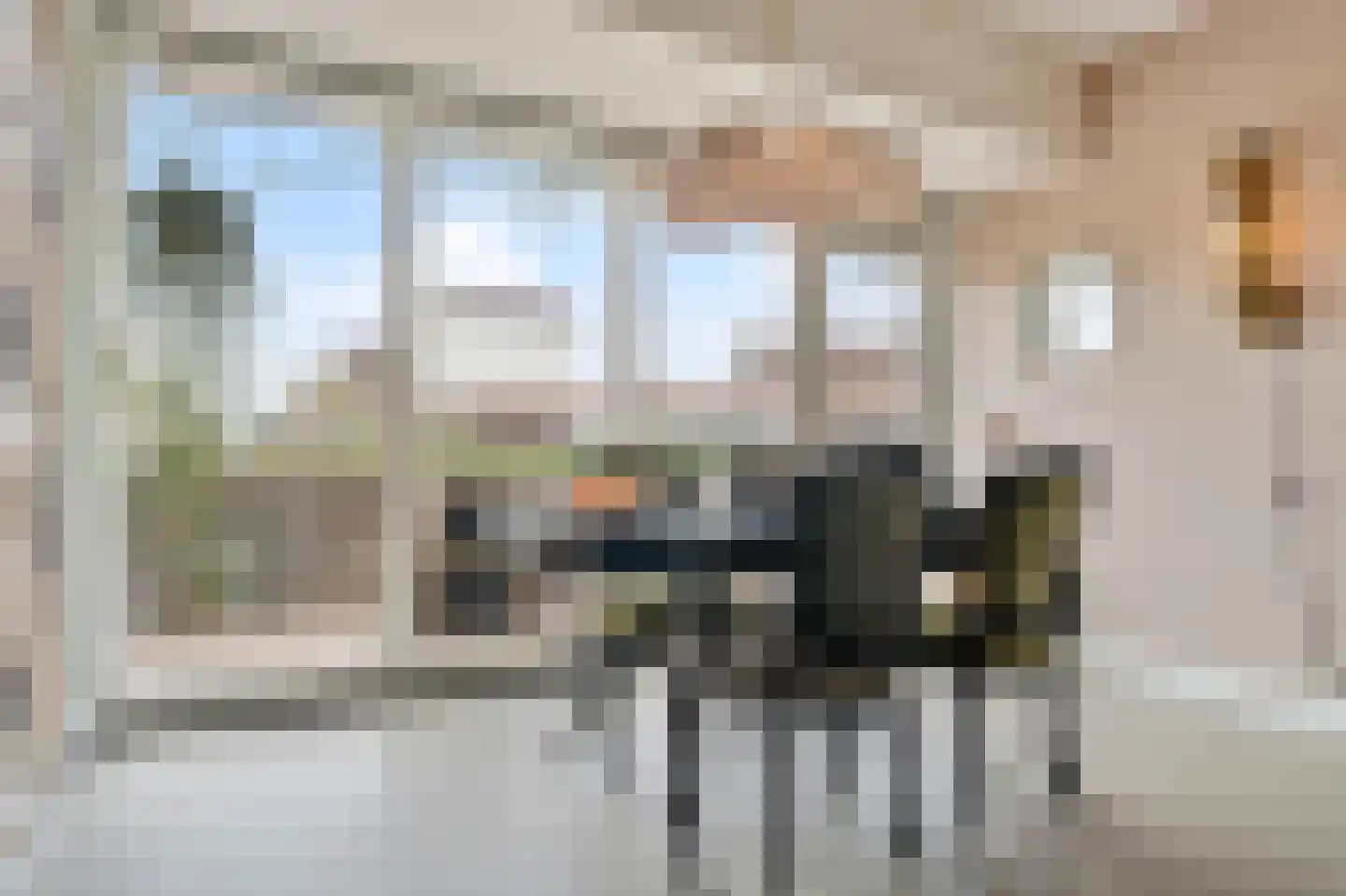 Zilvervlekpad 6 Rosmalen thumbnail 9