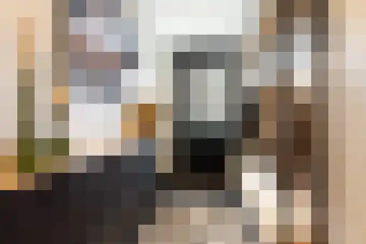 Zilvervloot 18 Rhoon thumbnail 10
