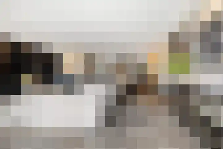 Zilvervloot 18 Rhoon thumbnail 15