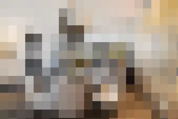 Zilvervloot 18 Rhoon thumbnail 18