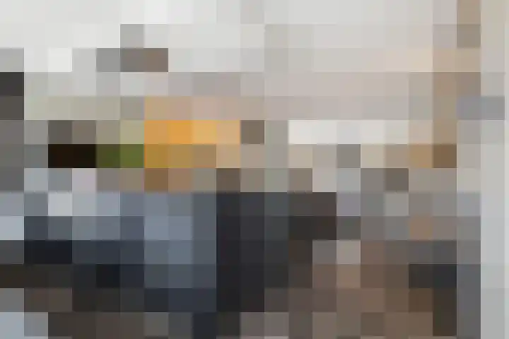 Zilvervloot 18 Rhoon thumbnail 20
