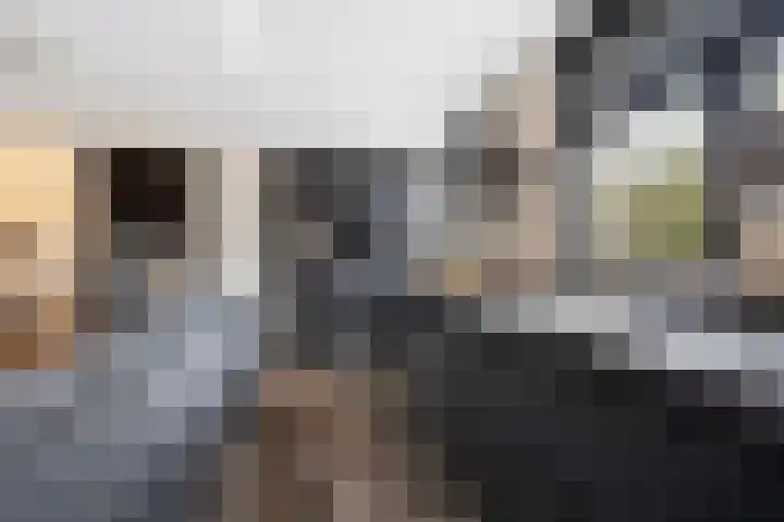 Zilvervloot 18 Rhoon thumbnail 21