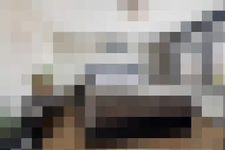 Zilvervloot 18 Rhoon thumbnail 30