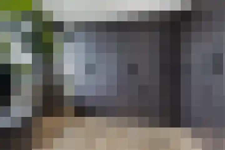 Zilvervloot 18 Rhoon thumbnail 32