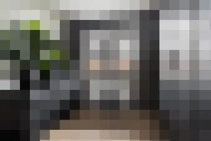 Zilvervloot 18 Rhoon thumbnail 33
