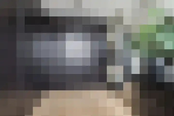 Zilvervloot 18 Rhoon thumbnail 34