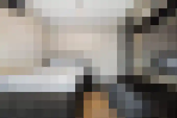 Zilvervloot 18 Rhoon thumbnail 37
